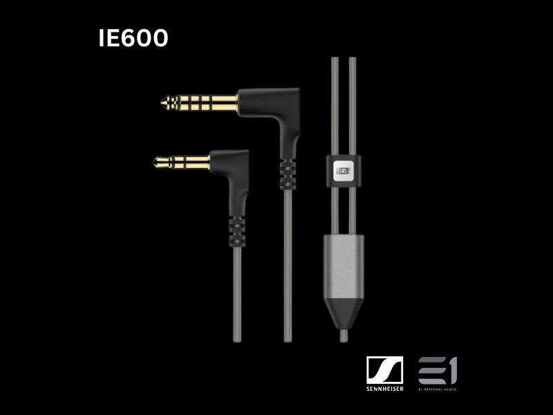Sennheiser IE600 Universal-fit In-ear Monitors