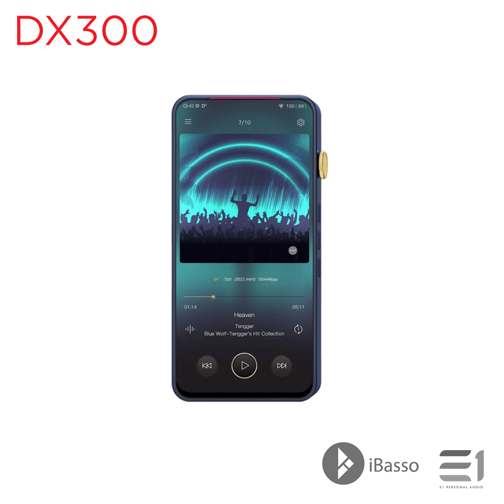 iBasso DX300 Portable Digital Audio Player