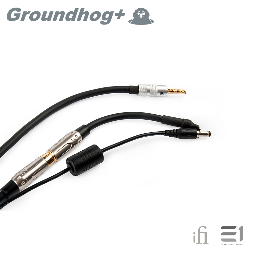 iFi Groundhog+ Grounding cable