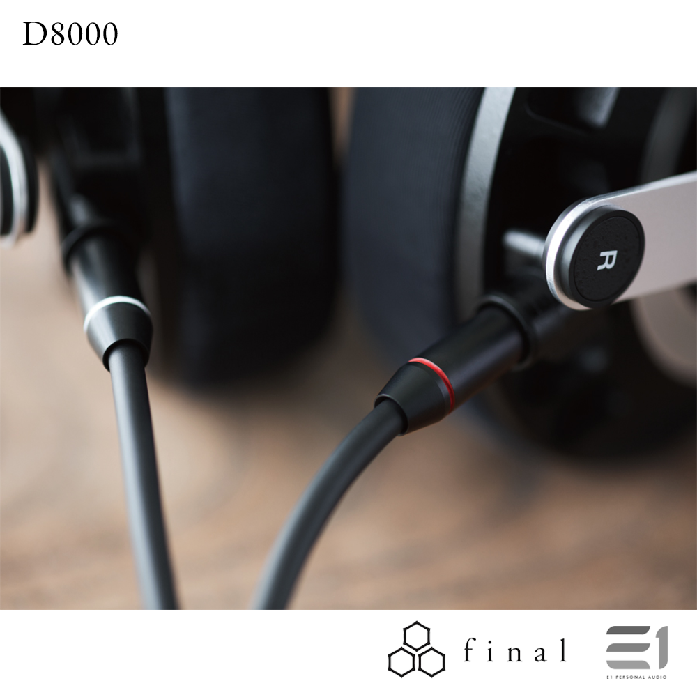 Final Audio D8000 Planar Magnetic Headphones