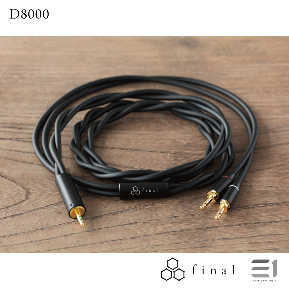 Final Audio D8000 Planar Magnetic Headphones