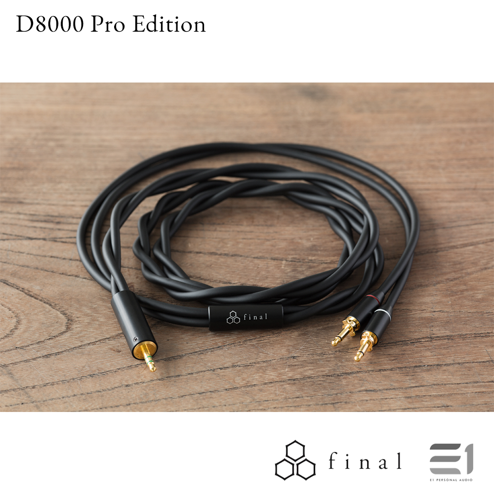 Final Audio D8000 Pro Edition Planar Magnetic Headphones